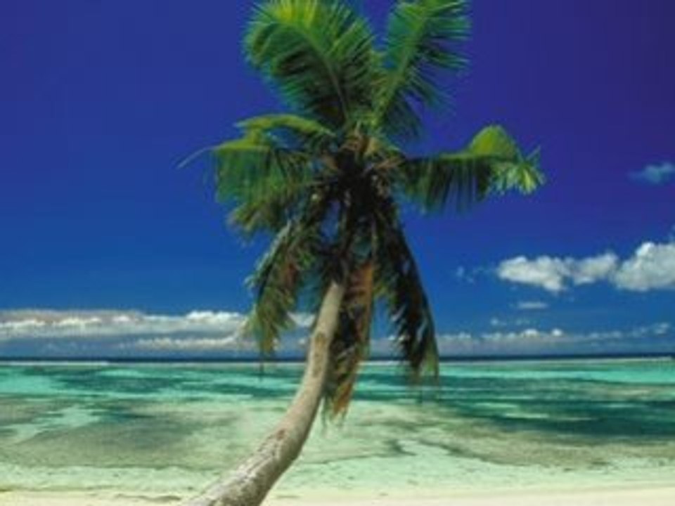 Got the right attitude