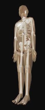 Sen Kichanna - Szexuális energia vonal (Sexual energie line)