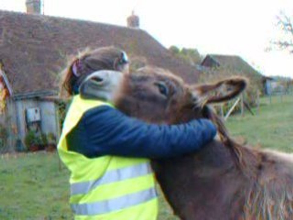 Gros Calin de Bibi; au 'pré' de ma blonde qu'il fait bon....