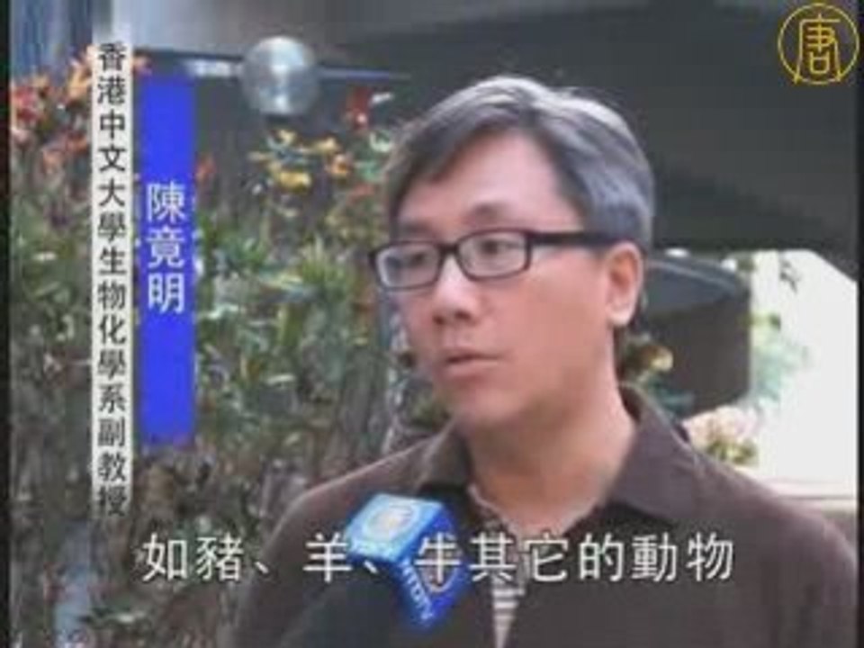 香港验出大陆鸡蛋含三聚氰胺