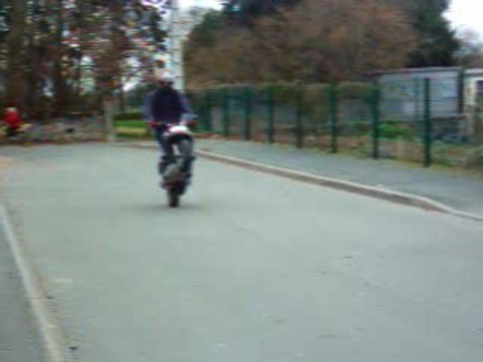 pedro's wheel skateur