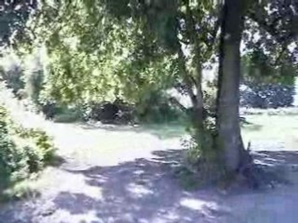 terrain de cross de maromme