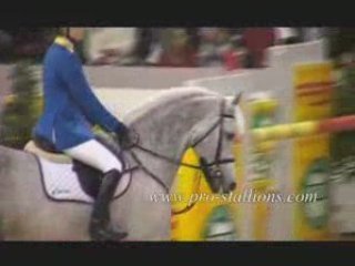 cso chevaux