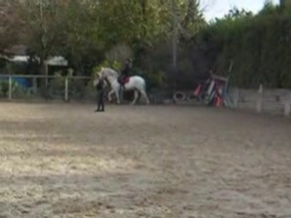 Travail dressage octobre 2008