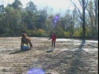 Olive travail en carriere