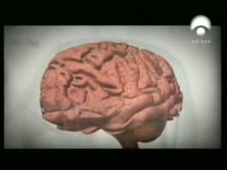 Montañas rusas: ¿Un riesgo para el cerebro?