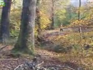 Chasse aux gibiers à Nassogne