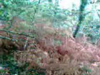 Alice qui saute du talut xD