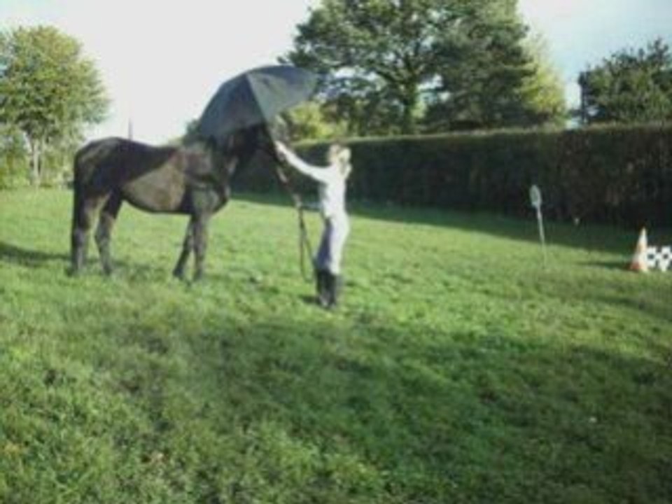 Ethologie : révérence, slalom, parapluie, bâche =D