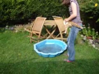 2 folles tyranisant un chat production camou-agatou