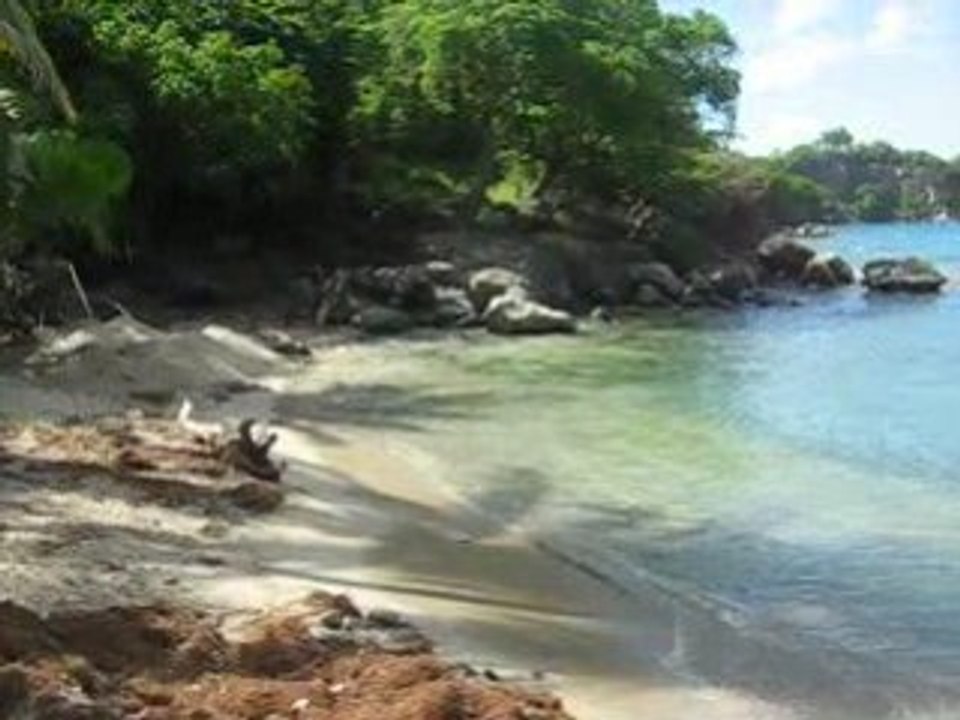 Olivierguadeloupe LES SAINTES