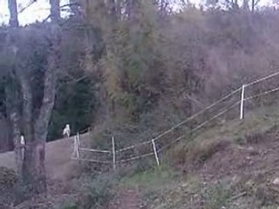 SV_A0092