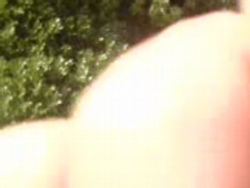 MOV00014