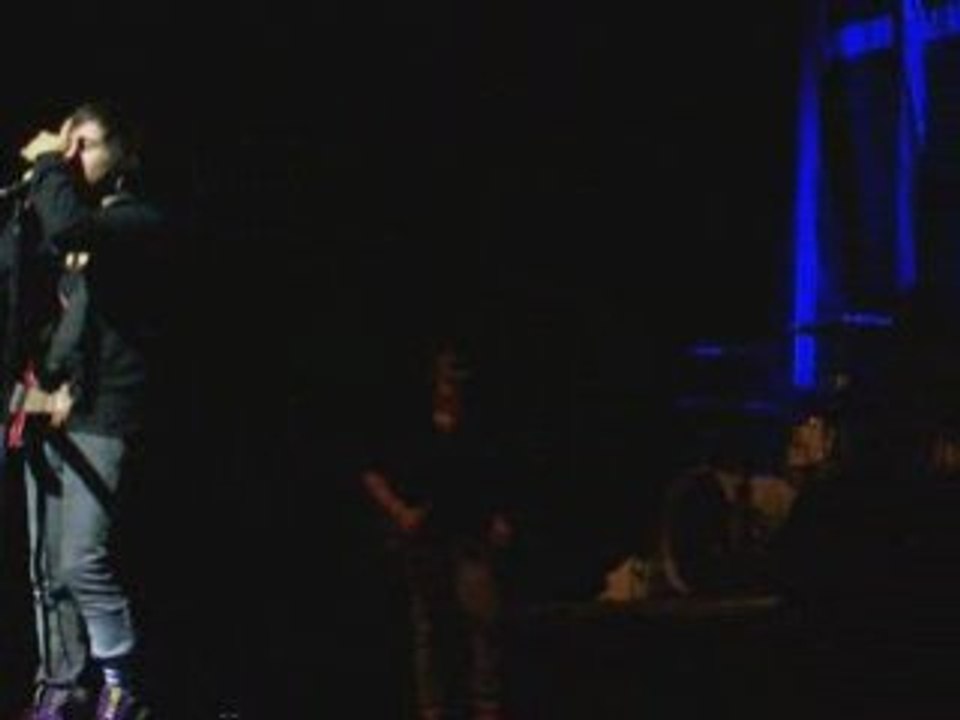 Fall Out Boy 25/10/08 Lille Pete !