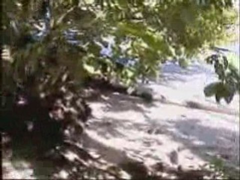 bora bora vacations samoa,fiji,bora bora,tahiti,cook island