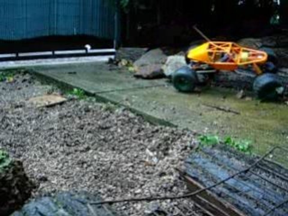 CRAWLER 1