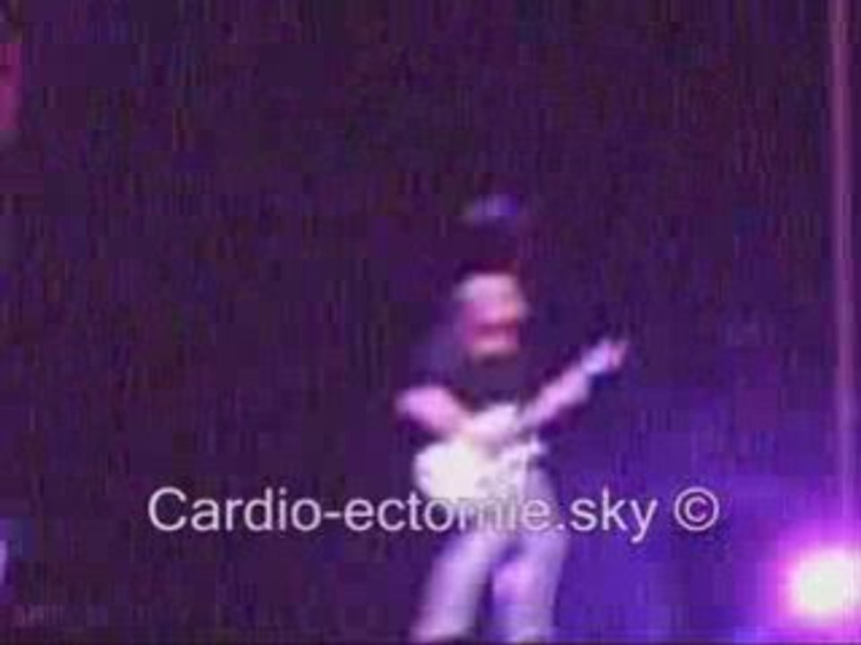 Fall Out Boy - Lille - The Take Over, The Breaks Over