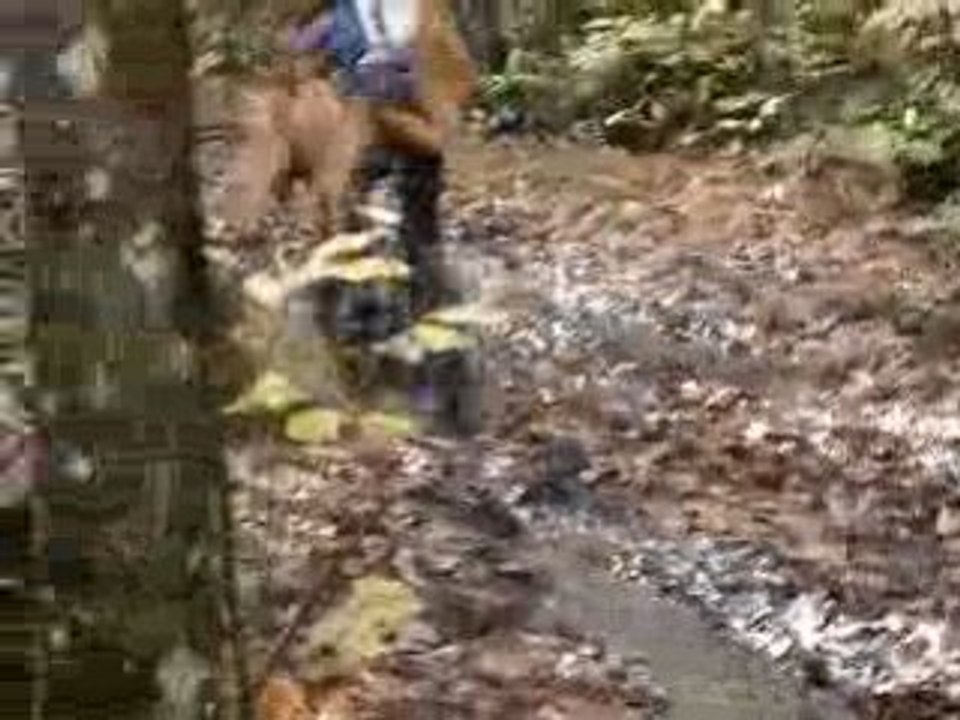 VTT Trip  27/10/08