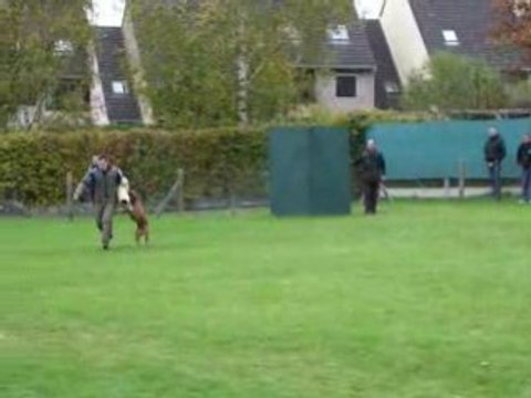 championnat de travail AFB Beauvais 2008