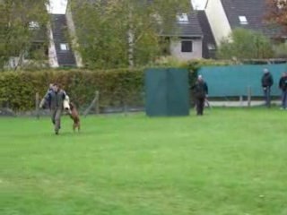 championnat de travail AFB Beauvais 2008