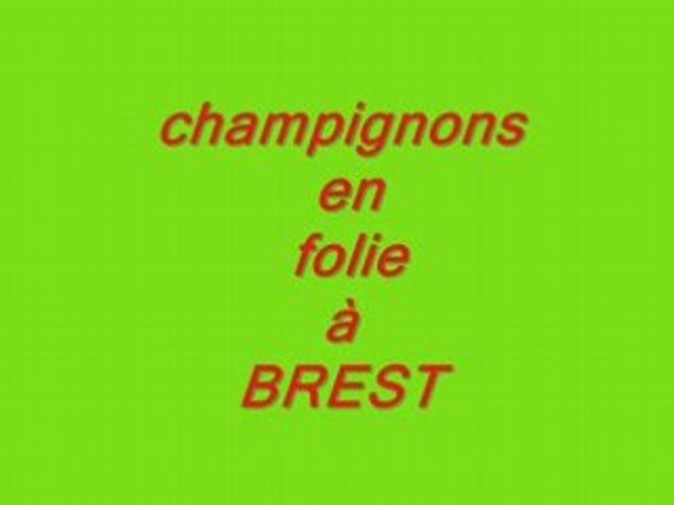 Champignons en folie à brest