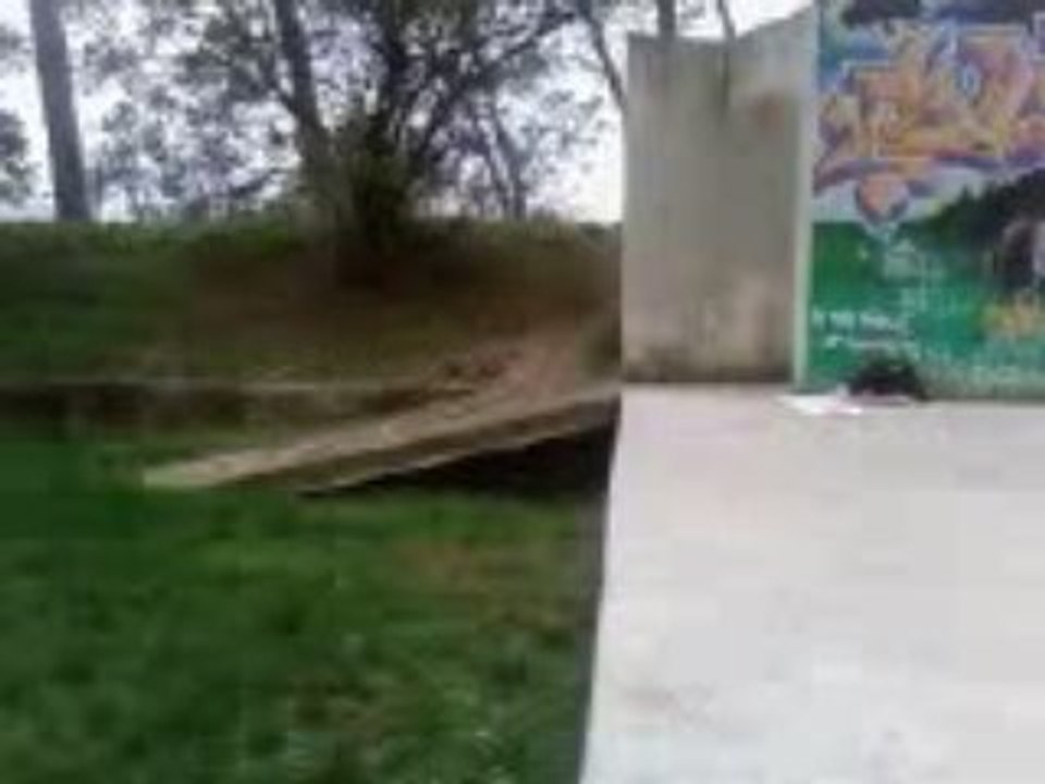 moi salto costal