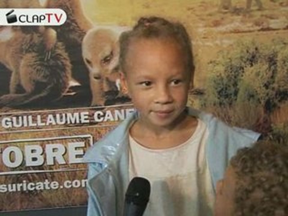 LA FAMILLE SURICATE - REACTIONS EN SALLE