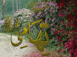 sorcellerie,djinn,mauvais oeui part8