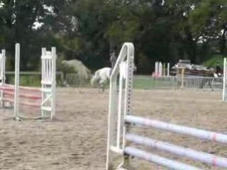 Idole Pont L'Ab Club poney élite .