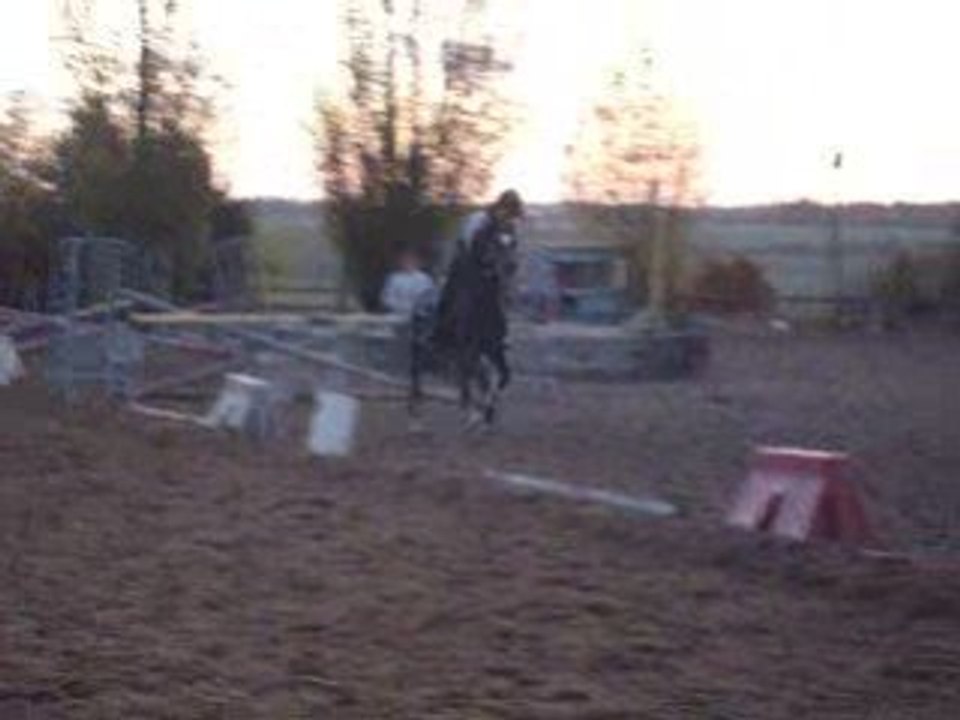 Cours de saut 22 Octobre 2008 - 2