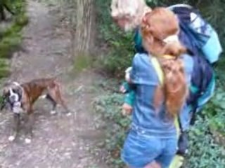 RANDONNÉE CHANTELLE Auvergne