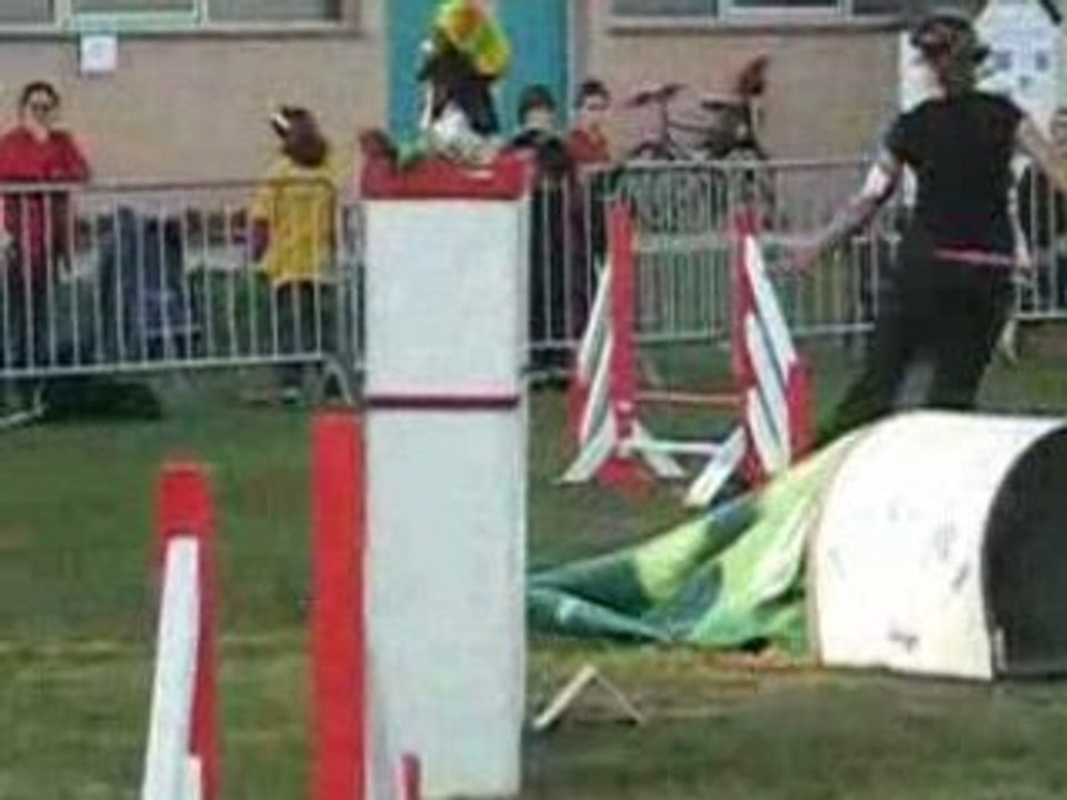 MARINE JUMP 19 SECONDES JUMP-1-