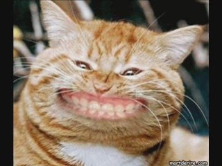 GRAND FOU RIRE ( composition wargam m homme  )