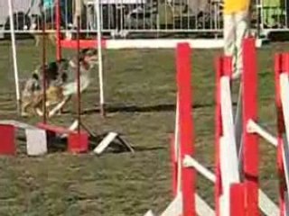 UNDER JUMP IPAC 08(1)