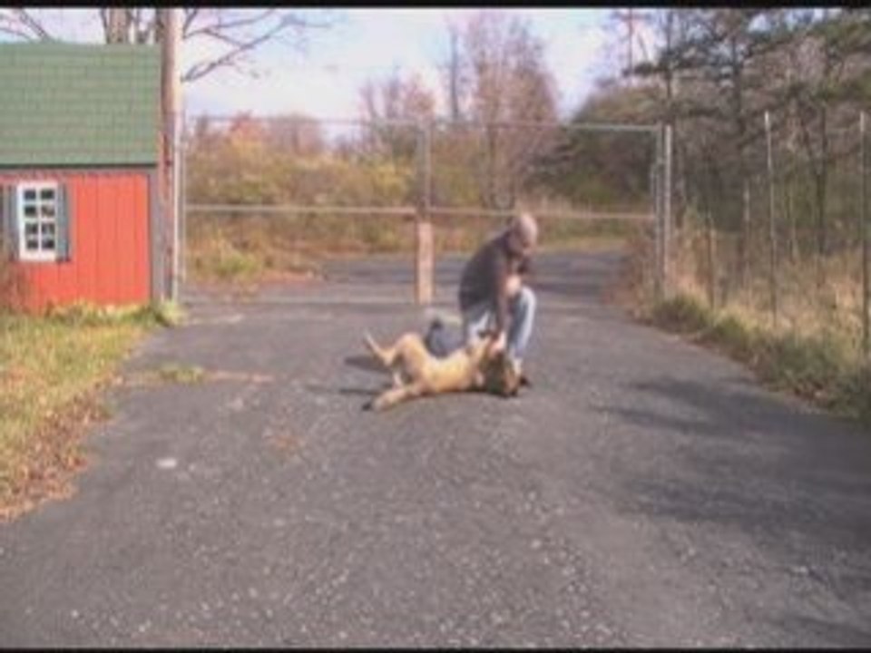 Cody learning Rollover