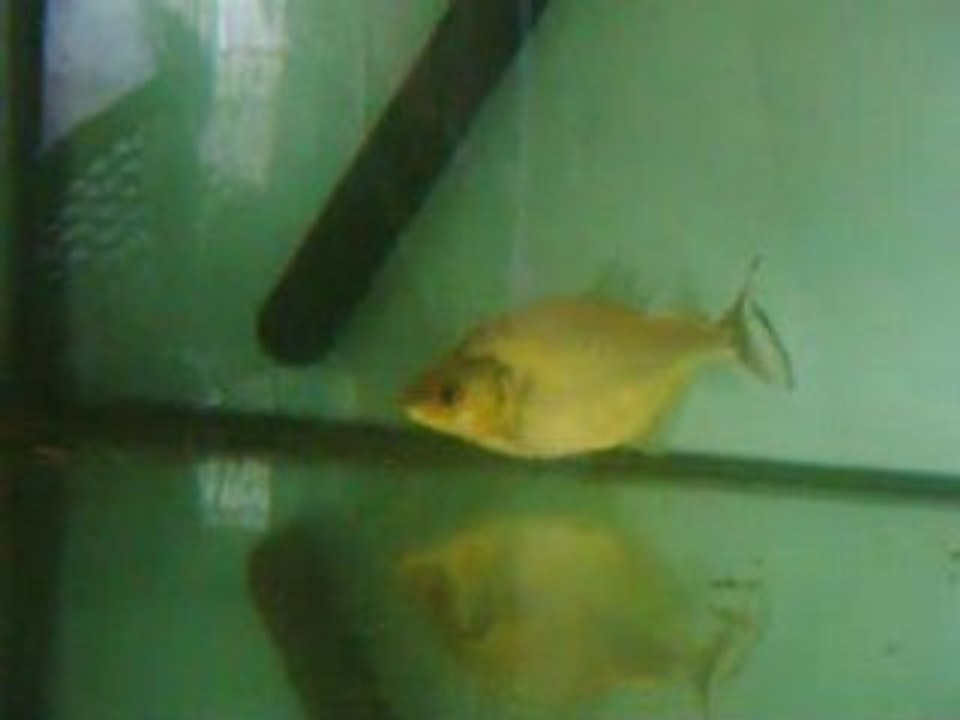 I:\DCIM\100_FUJI\DSCF0003