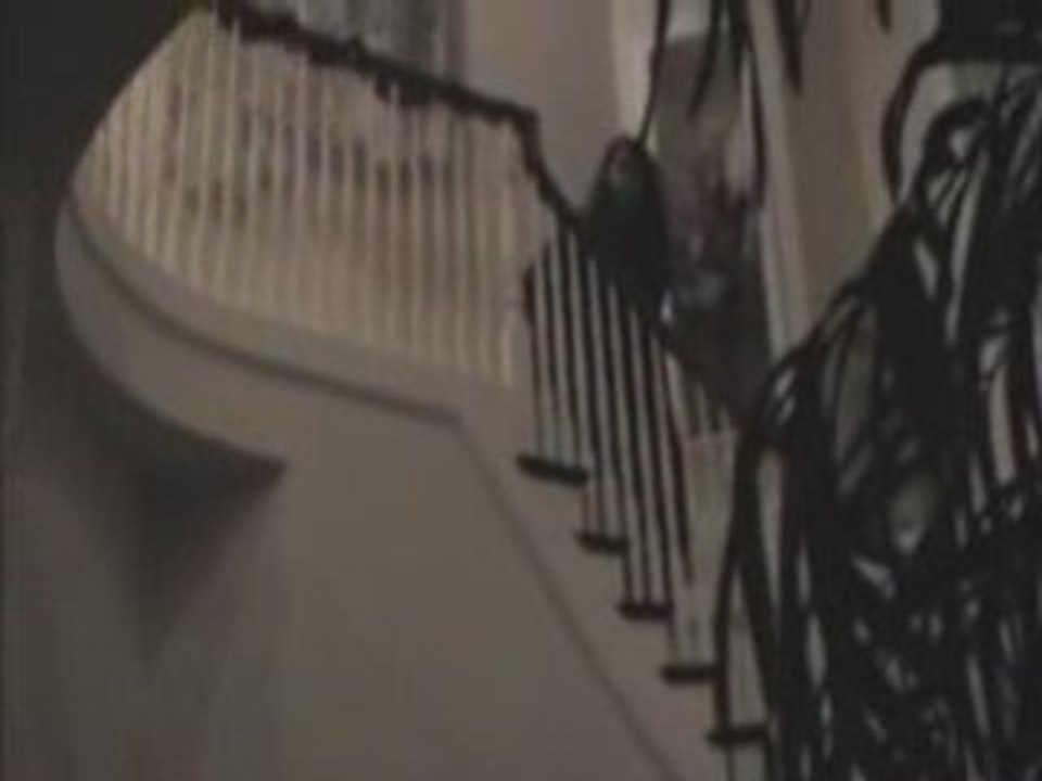 Extreme hide and seek