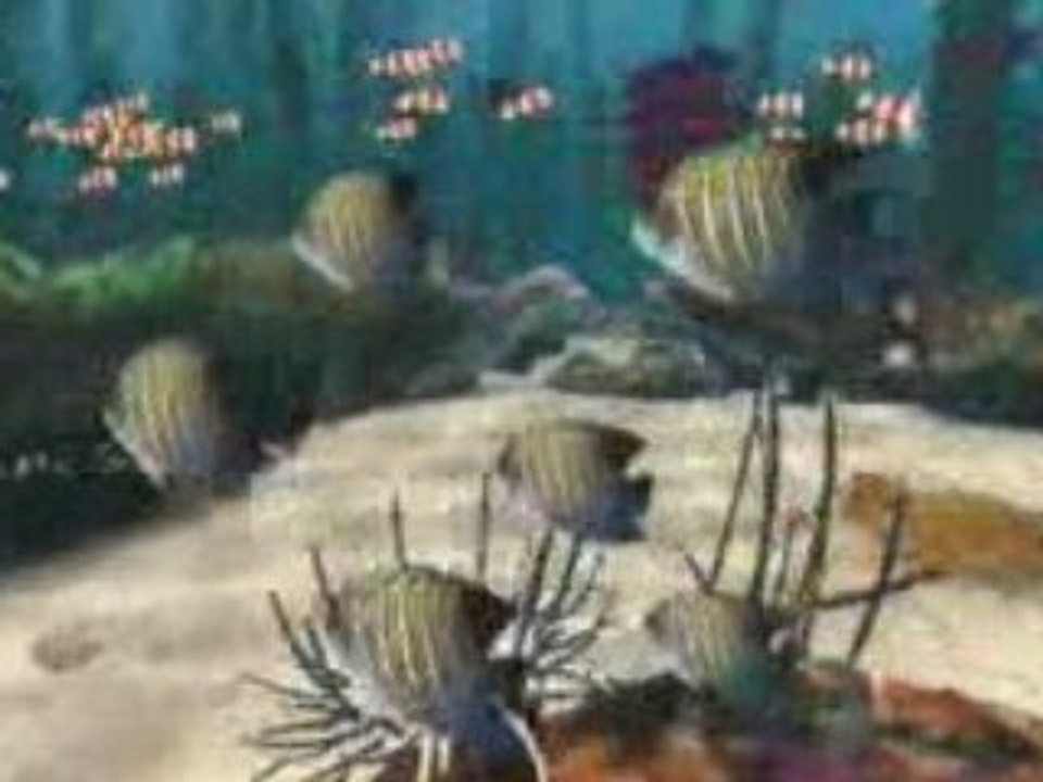 Ecco PC: Video 1