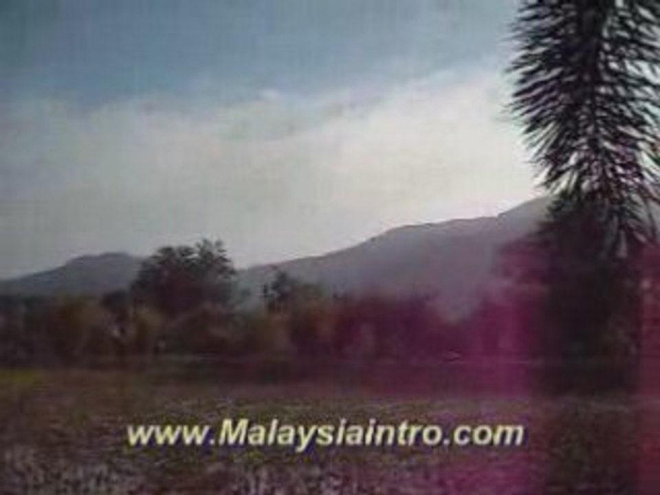 Taiping Lake Garden View 6 Lily Pond