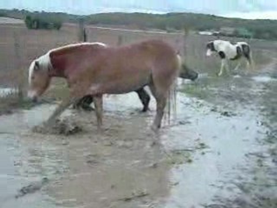 DSCN7854