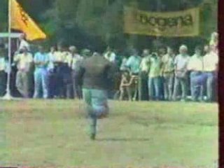 Souvenir de hollande Alex3