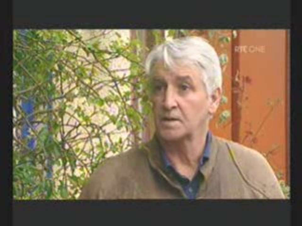 Funny Fair City Part 84 (Voice Over)