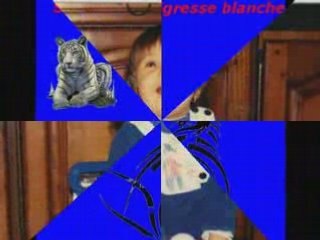 Vidéo de moi et mes cousins