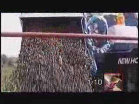 Machine à vendanger - Bordelais