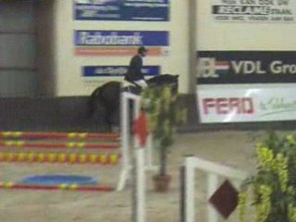 Jument KWPN 6a par Indoctro www.jurasporthorses.com