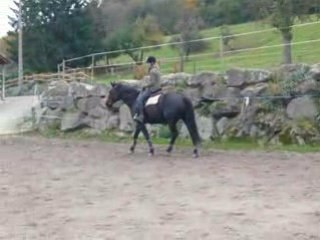 Noche et Moi, départ au galop a la voix