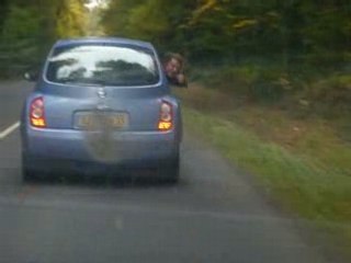 fifou veut vomir, il fait donc le petit caniche de mamie