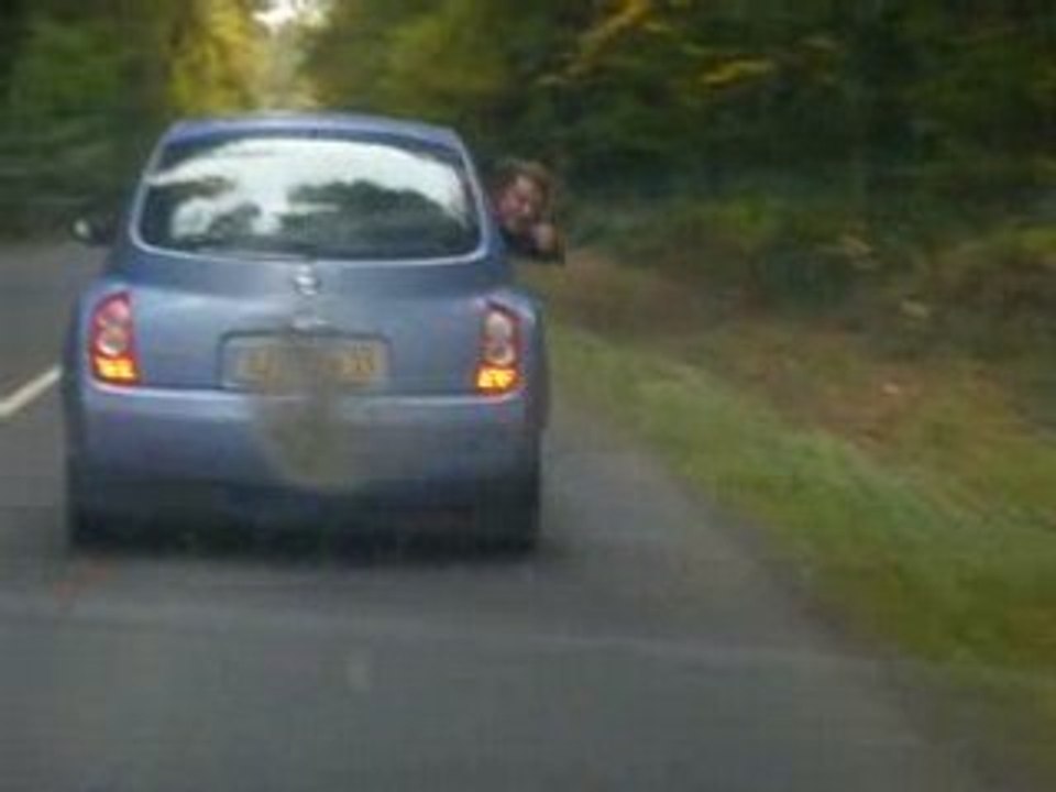 fifou veut vomir, il fait donc le petit caniche de mamie