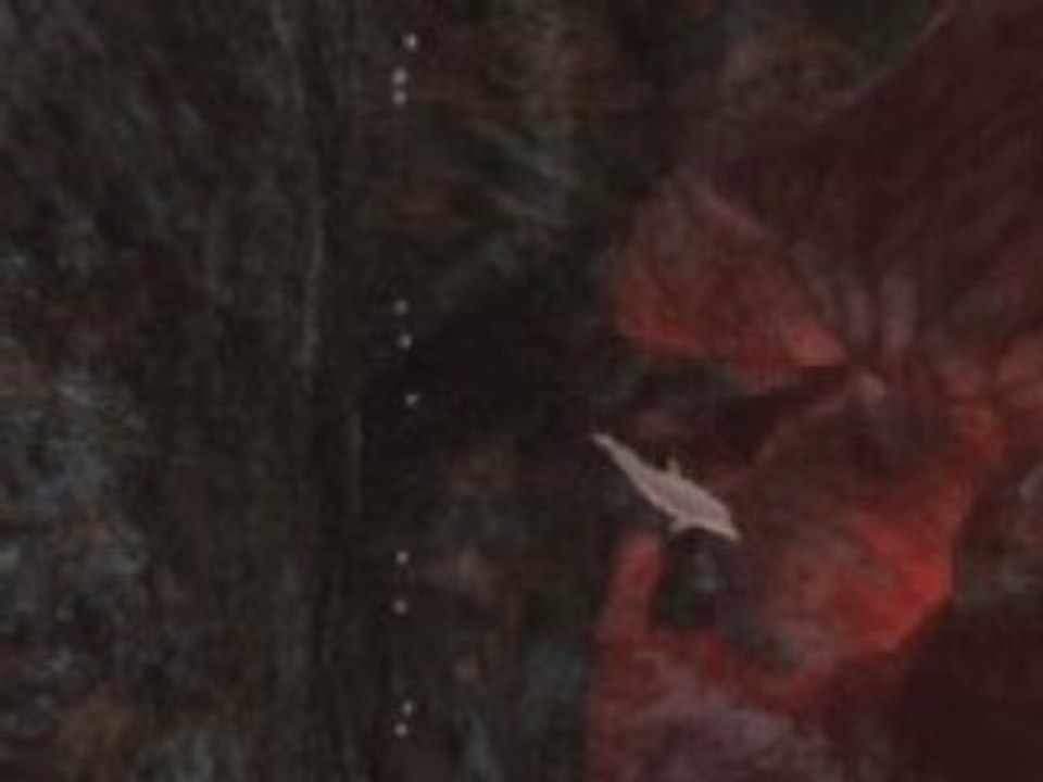 Ecco PC: Video 5