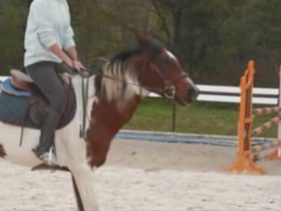 Cours de Saut 27.10.08